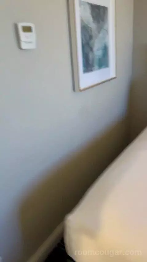 Luxe Room (#19105) bed picture #11