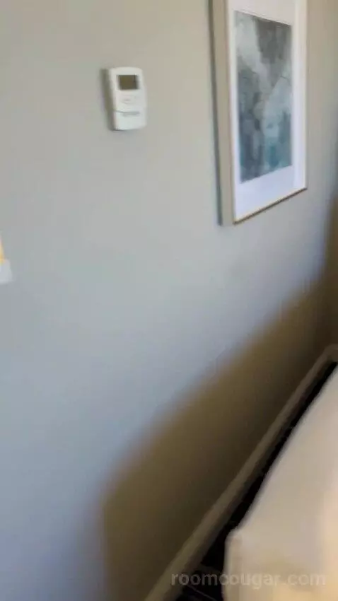 Luxe Room (#19105) bed picture #12