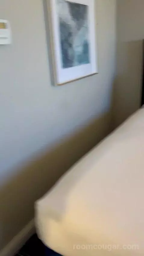 Luxe Room (#19105) picture #14