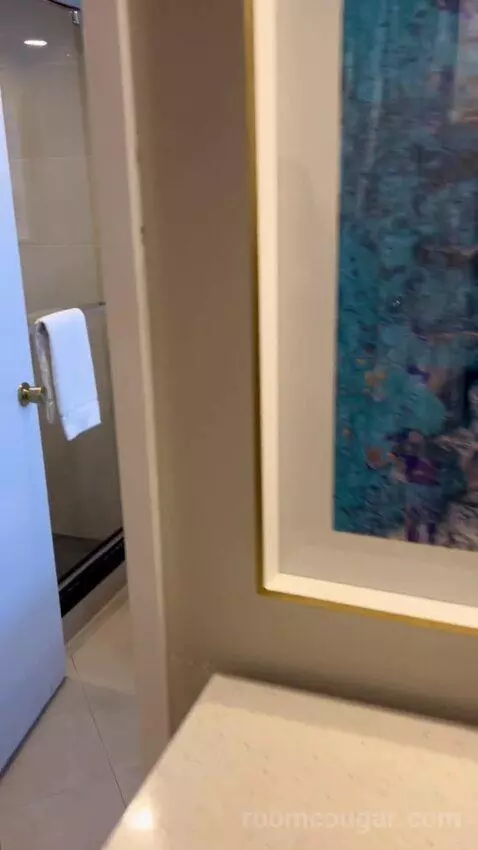 Luxe Room (#19105) picture #15