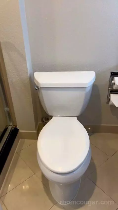 Luxe Room (#19105) bathroom picture #1