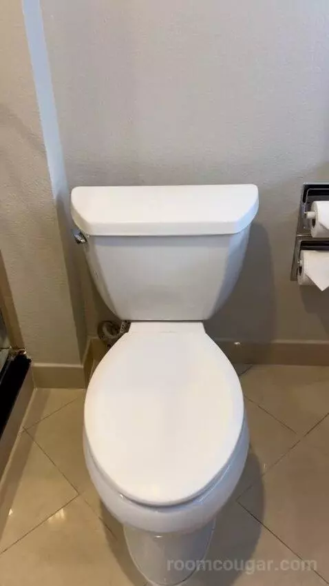 Luxe Room (#19105) bathroom picture #3