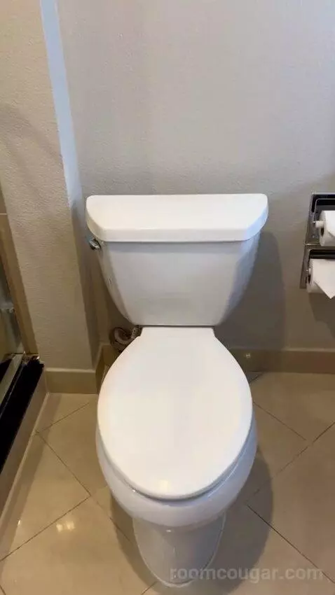 Luxe Room (#19105) picture #16