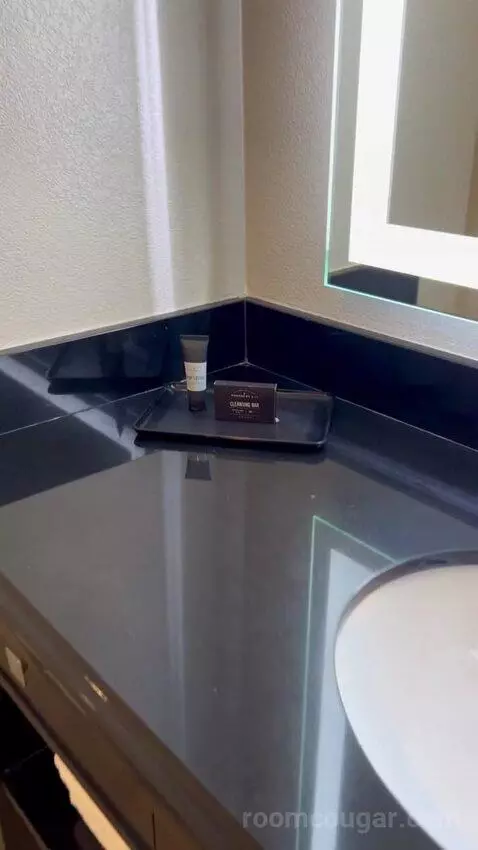 Luxe Room (#19105) picture #17