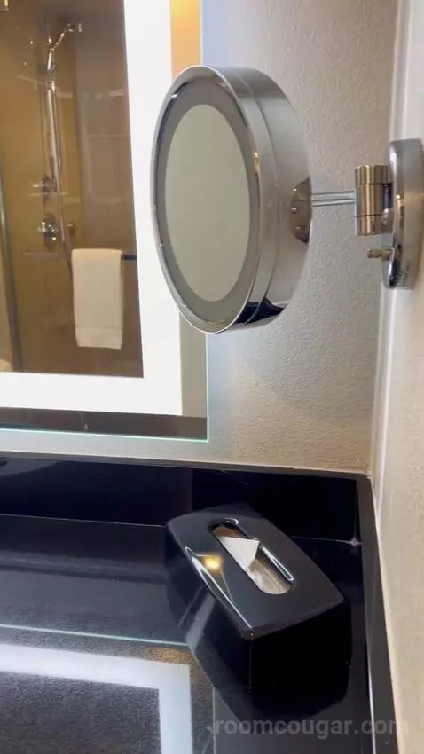 Luxe Room (#19105) bathroom picture #4