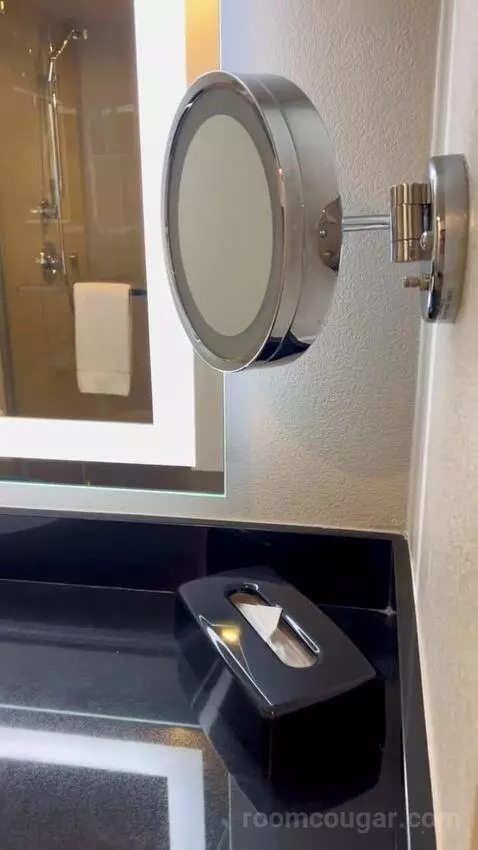 Luxe Room (#19105) bathroom picture #6