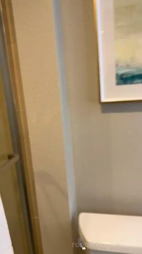 Luxe Room (#19105) bathroom picture #7