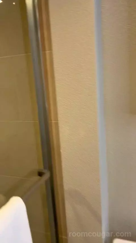 Luxe Room (#19105) bathroom picture #9