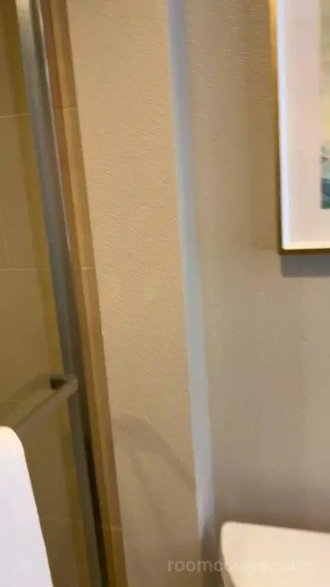 Luxe Room (#19105) picture #20