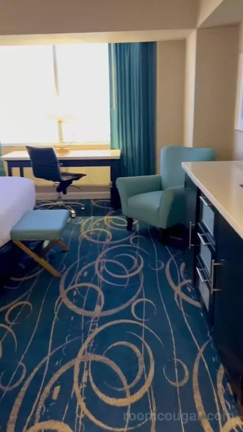 Luxe Room (#19105) picture #3