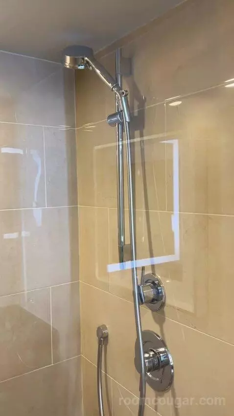 Luxe Room (#19105) bathroom picture #10