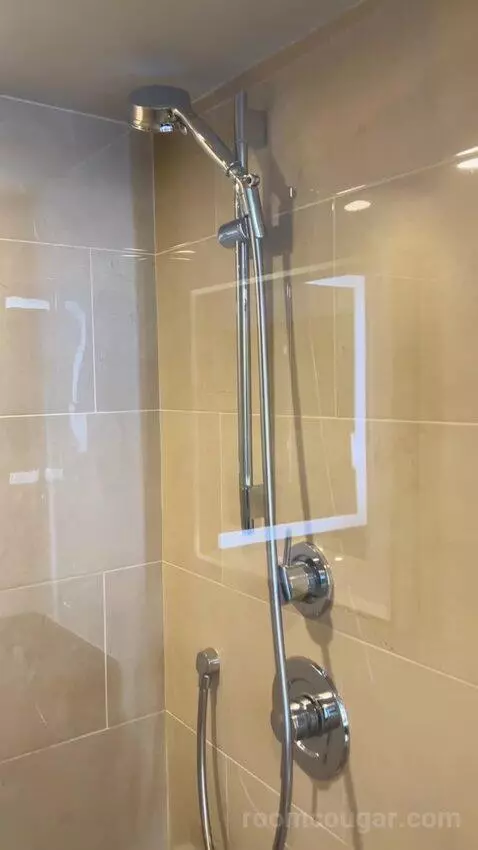 Luxe Room (#19105) bathroom picture #12