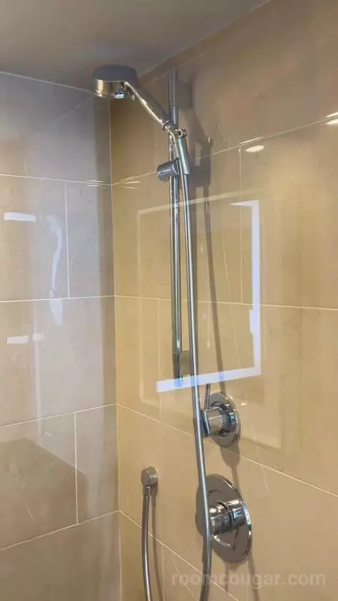 Luxe Room (#19105) picture #21