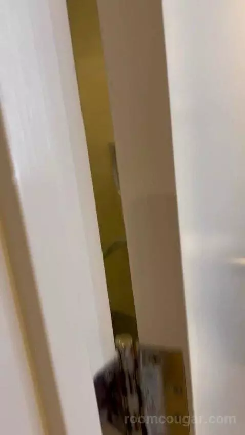 Luxe Room (#19105) picture #22