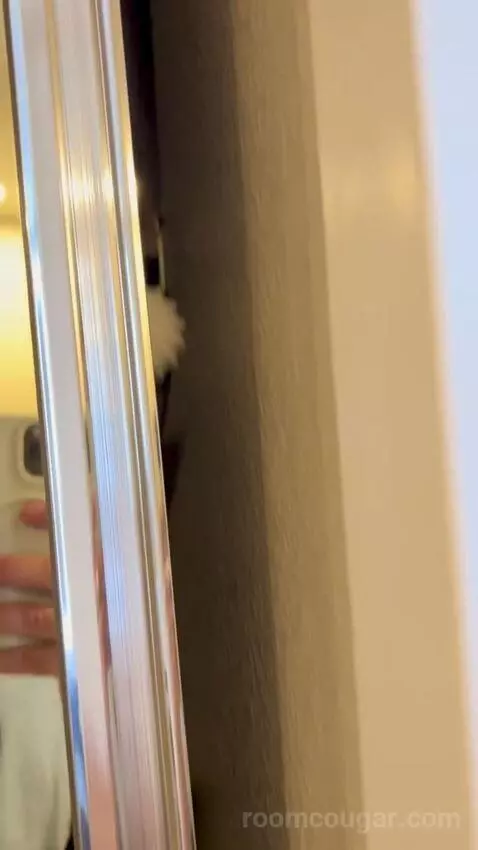 Luxe Room (#19105) picture #24