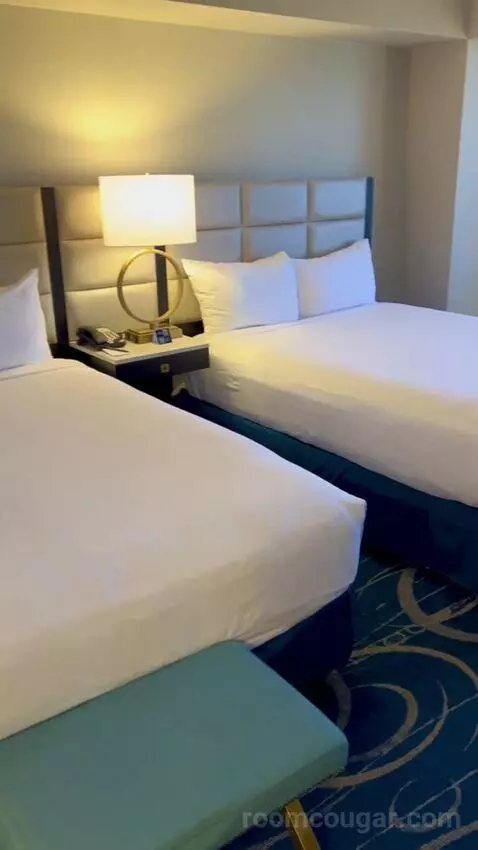 Luxe Room (#19105) picture #4