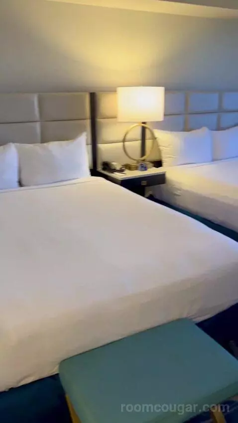 Luxe Room (#19105) picture #5