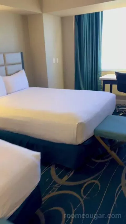 Luxe Room (#19105) picture #6