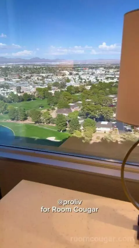 Luxe Room (#19105) picture #8