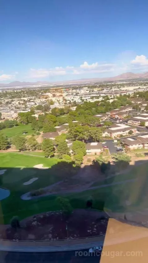 Luxe Room (#19105) view picture #2