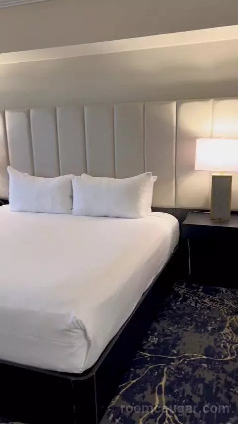 Premier Room (#1722) picture #13