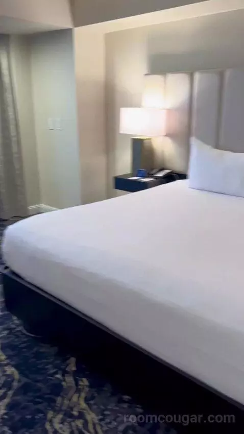 Premier Room (#1722) picture #14