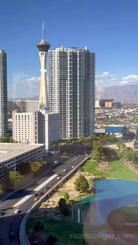 Premier Room (#1722) view picture #8