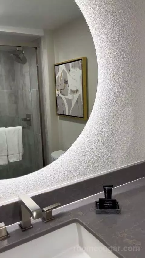 Premier Room (#1722) bathroom picture #6