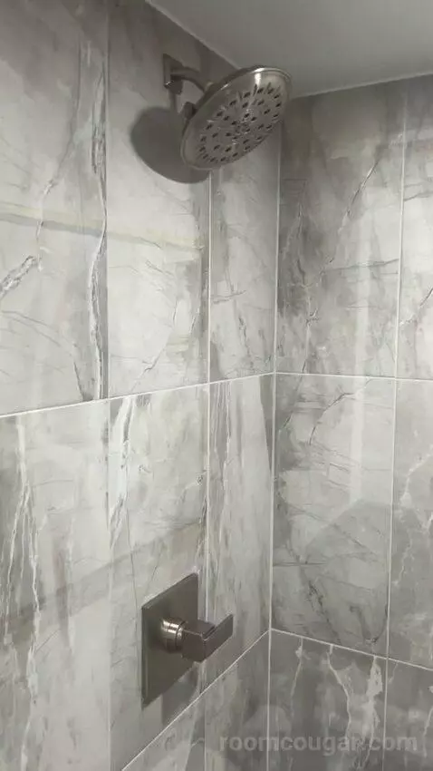 Premier Room (#1722) bathroom picture #7