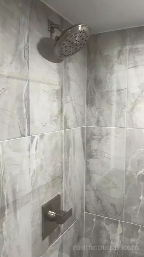 Premier Room (#1722) bathroom picture #8