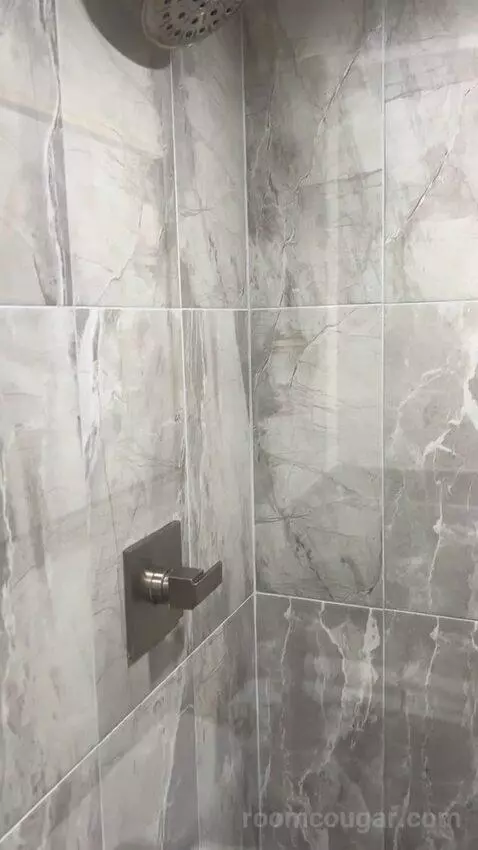 Premier Room (#1722) bathroom picture #9