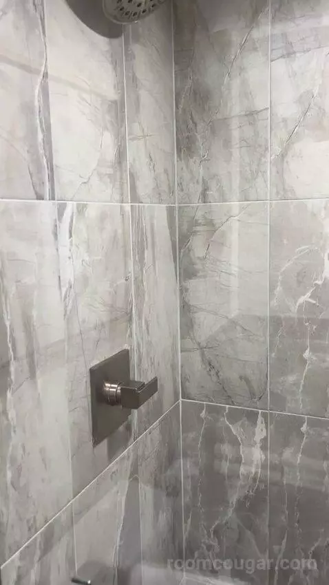 Premier Room (#1722) bathroom picture #10