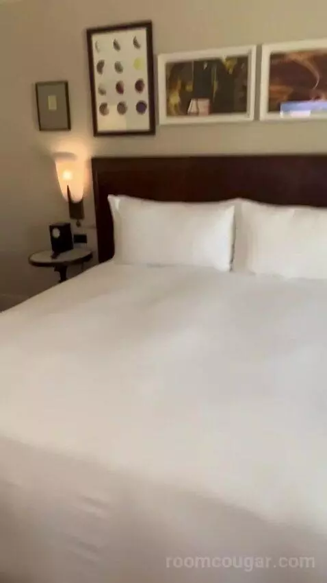 Standard King Room (#2703) bed picture #5