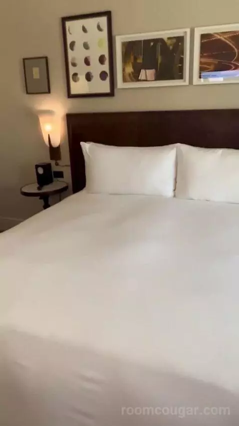 Standard King Room (#2703) picture #13