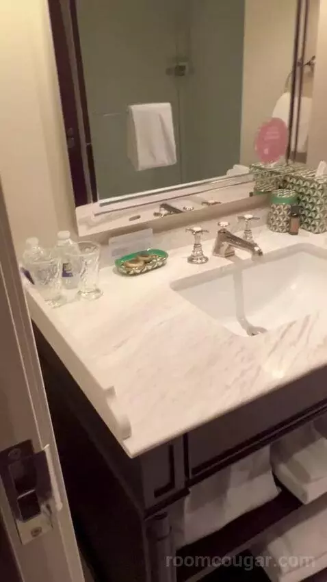 Standard King Room (#2703) bathroom picture #1