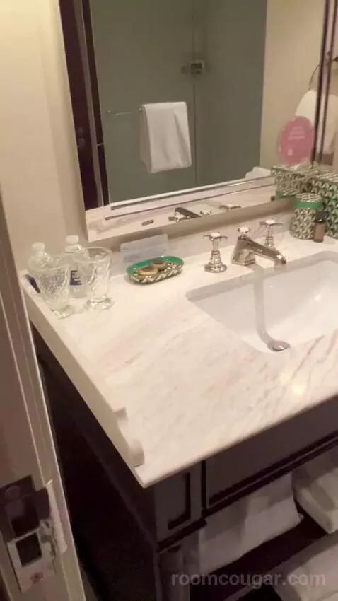 Standard King Room (#2703) picture #19