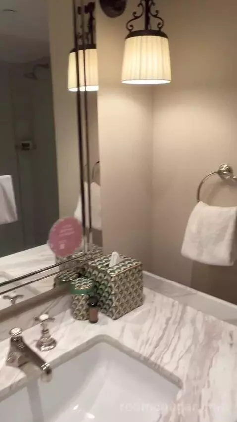 Standard King Room (#2703) bathroom picture #5