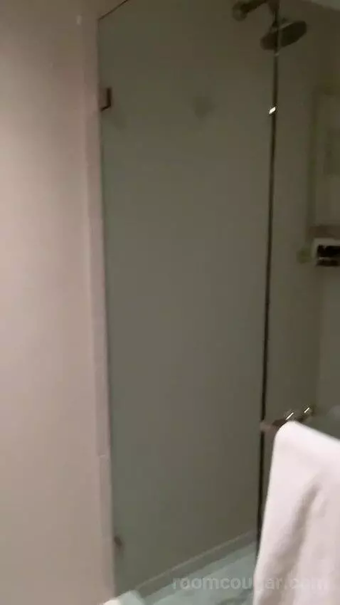 Standard King Room (#2703) bathroom picture #7