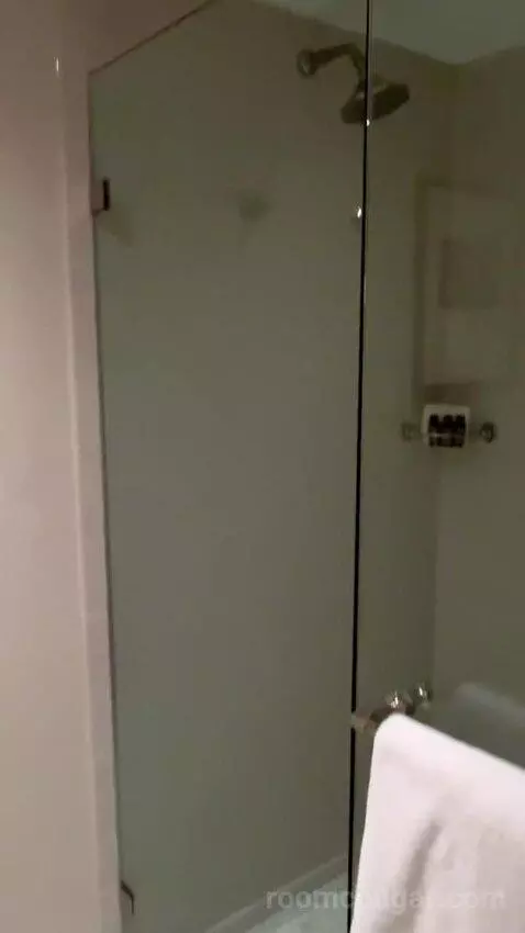 Standard King Room (#2703) picture #23