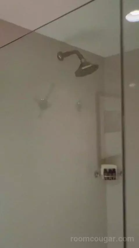 Standard King Room (#2703) bathroom picture #10