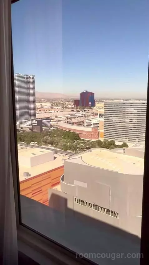 Standard King Room (#2703) view picture #11