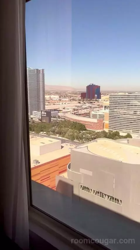 Standard King Room (#2703) view picture #12