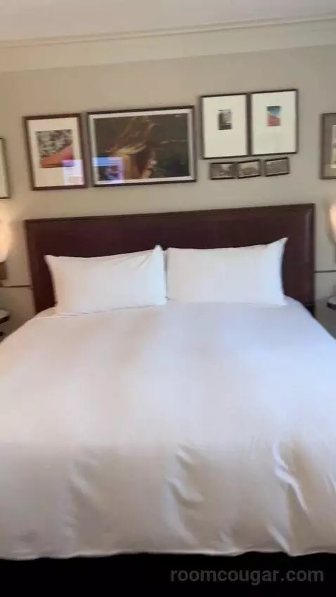 Grande Suite with a King Bed (#2809) bed picture #9