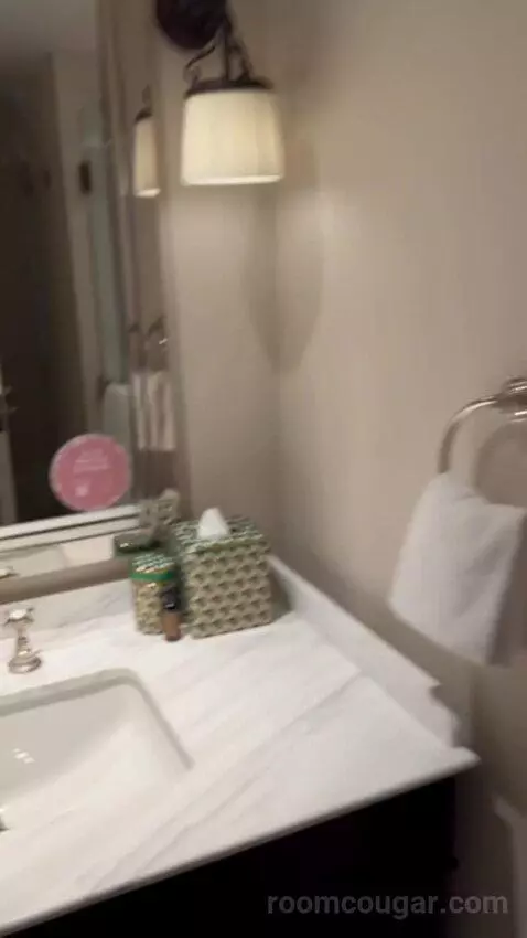 Grande Suite with a King Bed (#2809) bathroom picture #6