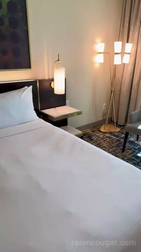 Panoramic View Deluxe - One King Bed (#13128) bed picture #5