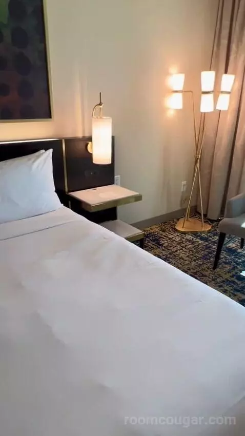 Panoramic View Deluxe - One King Bed (#13128) picture #11