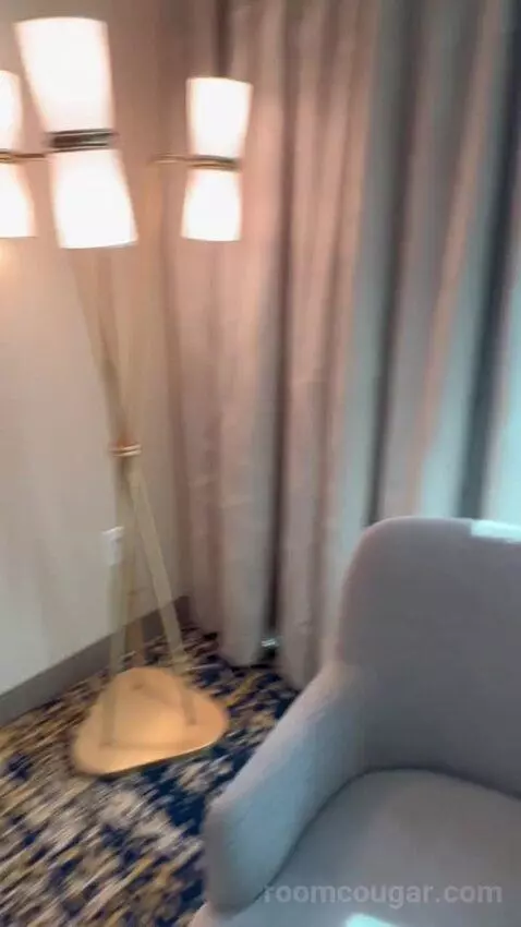 Panoramic View Deluxe - One King Bed (#13128) picture #12