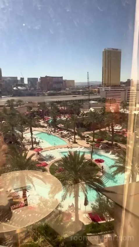 Panoramic View Deluxe - One King Bed (#13128) view picture #9