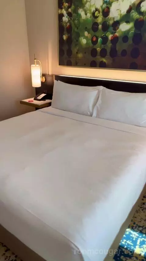 Panoramic View Deluxe - One King Bed (#13128) bed picture #9