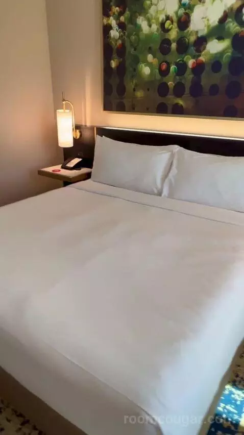 Panoramic View Deluxe - One King Bed (#13128) picture #19